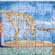 Tim Bulmer - Natural History Museum 1000 Piece Jigsaw